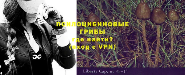 крисы Липки