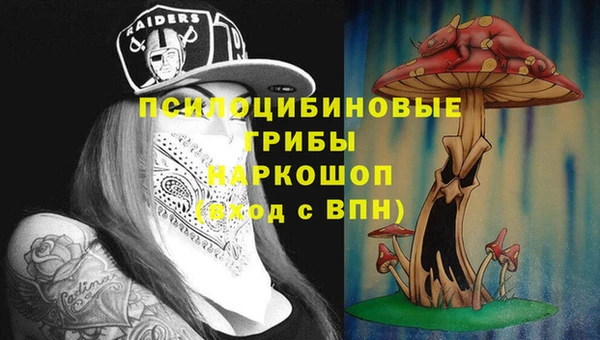 первитин Лиски