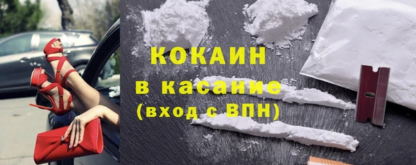 крисы Липки
