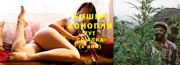 крисы Липки