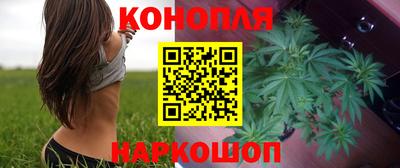 сатива Балахна