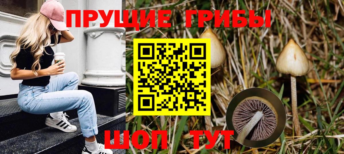 Галлюциногенные грибы мицелий Заречный