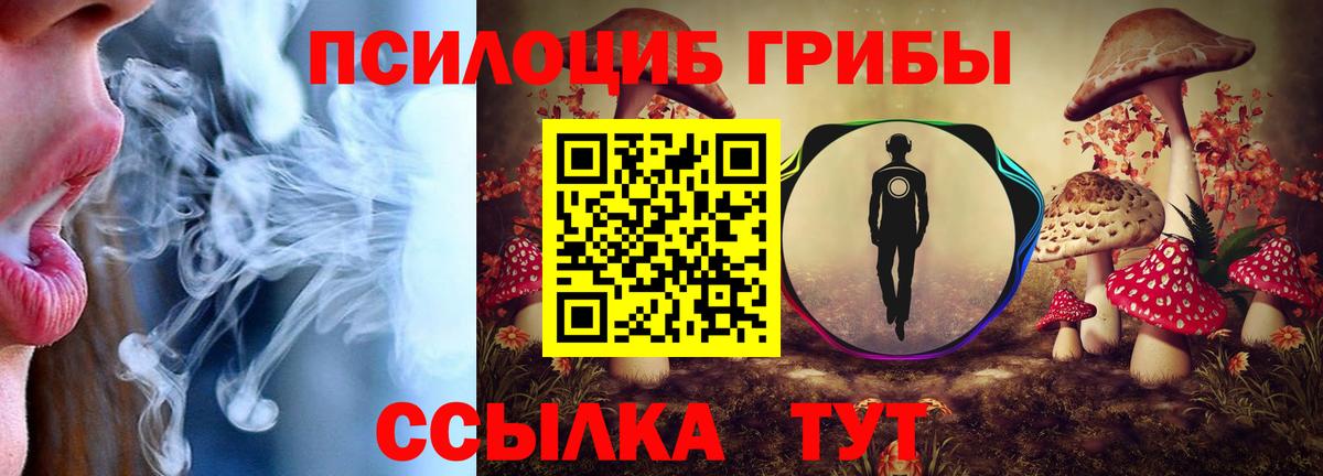 Галлюциногенные грибы GOLDEN TEACHER  Вход с VPN  Заречный 