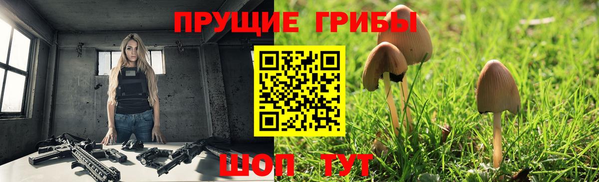 Галлюциногенные грибы Magic Shrooms  Псилоцибиновые грибы Cubensis  Заречный 